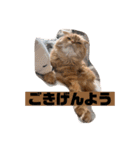とろろともずく〜2024Summer〜（個別スタンプ：9）