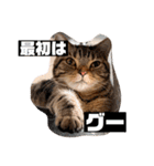 とろろともずく〜2024Summer〜（個別スタンプ：16）