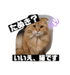 とろろともずく〜2024Summer〜（個別スタンプ：32）