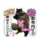 黒猫 ルナ院長156にゃんめ（個別スタンプ：4）