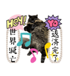 黒猫 ルナ院長156にゃんめ（個別スタンプ：6）