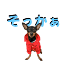 蘭丸先輩 11（個別スタンプ：8）