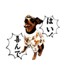蘭丸先輩 11（個別スタンプ：22）