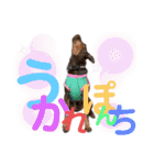 蘭丸先輩 11（個別スタンプ：29）