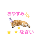 柴すずスタンぷぅ（個別スタンプ：9）