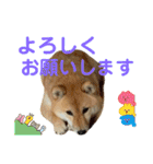 柴すずスタンぷぅ（個別スタンプ：14）