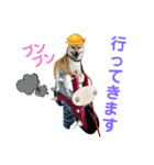 柴すずスタンぷぅ（個別スタンプ：35）