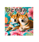 リアルな可愛い双子の柴犬★夏（個別スタンプ：26）