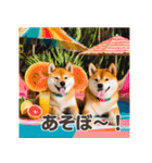 リアルな可愛い双子の柴犬★夏（個別スタンプ：27）