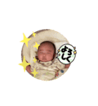 菊ひなぴのスタンプ①（個別スタンプ：2）