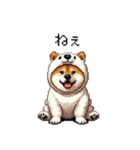 シロクマ太っちょ柴犬（個別スタンプ：25）