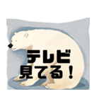 シロクマファン（個別スタンプ：19）