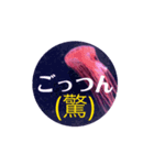 言葉の衝撃を海月で和らげながら伝える！（個別スタンプ：1）