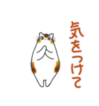 和風猫＜気持ちを伝える7 ＞（個別スタンプ：38）