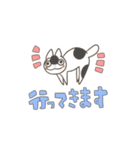 ☆毎日使える☆万能！猫ちゃんスタンプ（個別スタンプ：14）