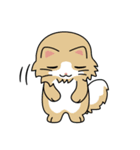 足袋ねこ“すだち”のラインスタンプ（個別スタンプ：30）