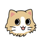 足袋ねこ“すだち”のラインスタンプ（個別スタンプ：32）