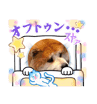 もふもふあきちゃん＆ふわふわはちくん2（個別スタンプ：10）