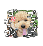 ピノさんwith8（個別スタンプ：2）