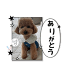 ピノさんwith8（個別スタンプ：4）
