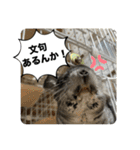 チンチラのおはぎくん9（個別スタンプ：18）