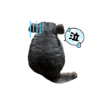 チンチラのおはぎくん9（個別スタンプ：21）