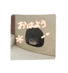 レオパのこむぴ日常スタンプ（個別スタンプ：1）