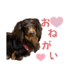 マイルだお（個別スタンプ：2）