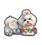 犬づくし①（個別スタンプ：20）