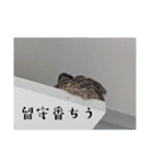 一緒に帰ろ（個別スタンプ：3）