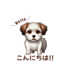 チワワ×シーズ ミックス スタンプ！！愛犬（個別スタンプ：1）