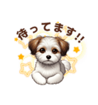 チワワ×シーズ ミックス スタンプ！！愛犬（個別スタンプ：5）