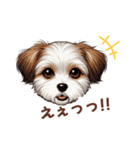 チワワ×シーズ ミックス スタンプ！！愛犬（個別スタンプ：9）