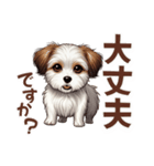 チワワ×シーズ ミックス スタンプ！！愛犬（個別スタンプ：13）