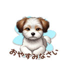 チワワ×シーズ ミックス スタンプ！！愛犬（個別スタンプ：15）