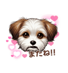 チワワ×シーズ ミックス スタンプ！！愛犬（個別スタンプ：16）