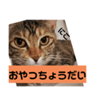 ナナPのミルクティータイム理想ナナは甘い（個別スタンプ：5）