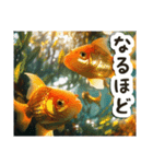 毎日使える♡金魚（個別スタンプ：9）