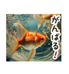 毎日使える♡金魚（個別スタンプ：16）