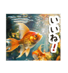 毎日使える♡金魚（個別スタンプ：17）