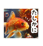 毎日使える♡金魚（個別スタンプ：21）