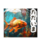 毎日使える♡金魚（個別スタンプ：27）