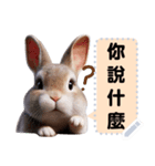 pei rabbit 1（個別スタンプ：3）