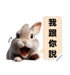 pei rabbit 1（個別スタンプ：5）