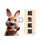 pei rabbit 1（個別スタンプ：6）