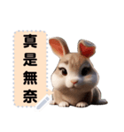 pei rabbit 1（個別スタンプ：8）