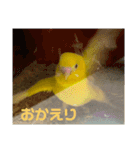 ぼく、ばなな！（個別スタンプ：3）