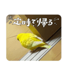 ぼく、ばなな！（個別スタンプ：4）