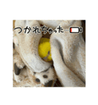 ぼく、ばなな！（個別スタンプ：5）