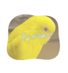 ぼく、ばなな！（個別スタンプ：6）